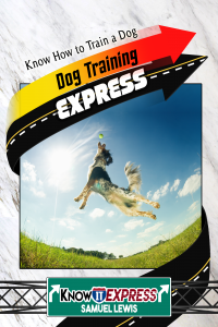 dog-training-express